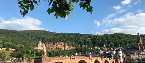 Luxury Holiday Apartment in the Old Town of Heidelberg Apartment in Heidelberg
