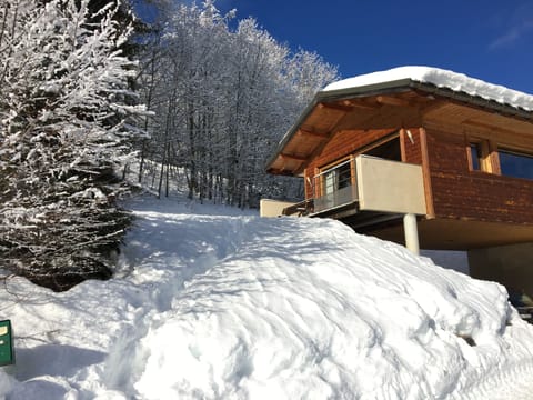 The chalet in winter time