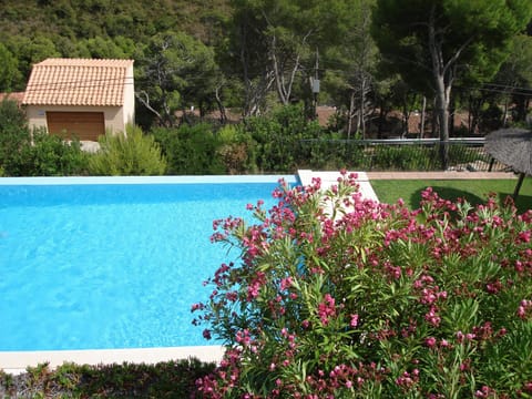 The complex swimming pool