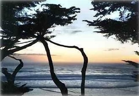 View from Master Bedroom!