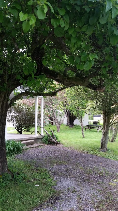 Our back yard is beautiful.