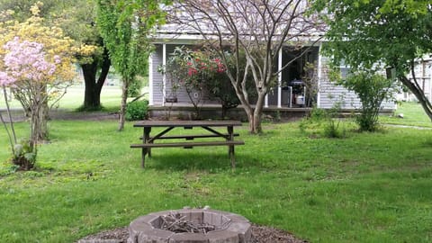 Horseshoes, fire pit & picnic table out back