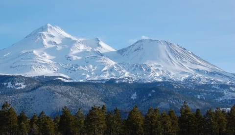 Apartment Street View of Majestic Mt Shasta 