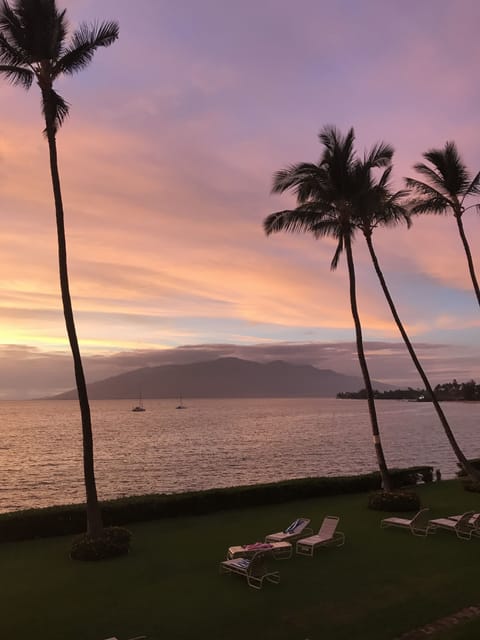 View from lanai