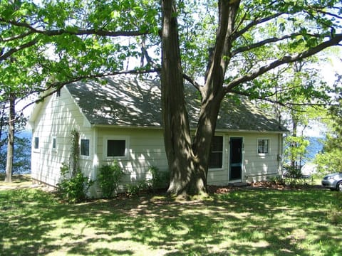 The Green Cottage