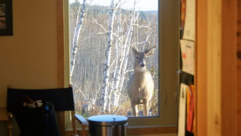 One of our neighbors