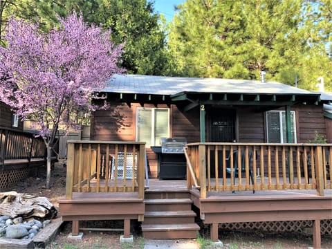 Cabin 2
