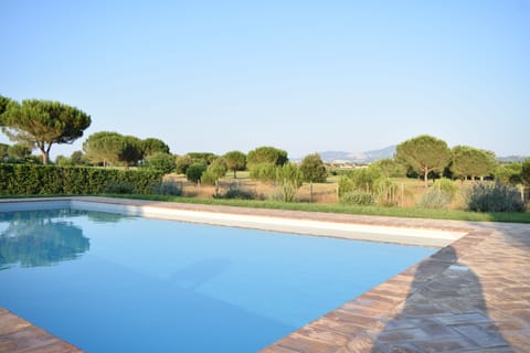 The Swimming pool and the view on the castelli romani