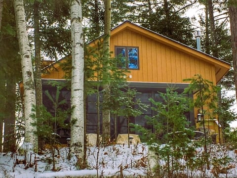 The beauty of a fresh snowfall