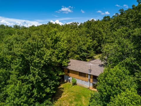 Gatlinburg Cabin "Lakeview" - Arial view