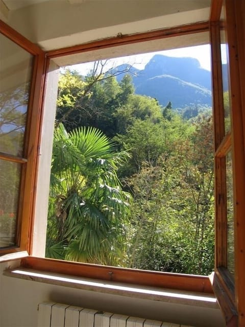 View From Window