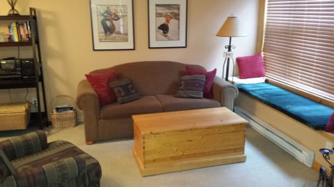 Living Room with pull out couch.