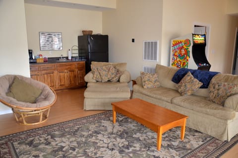 Lower Level Living Room with Kitchenette and Full sized 2nd refrigerator. 