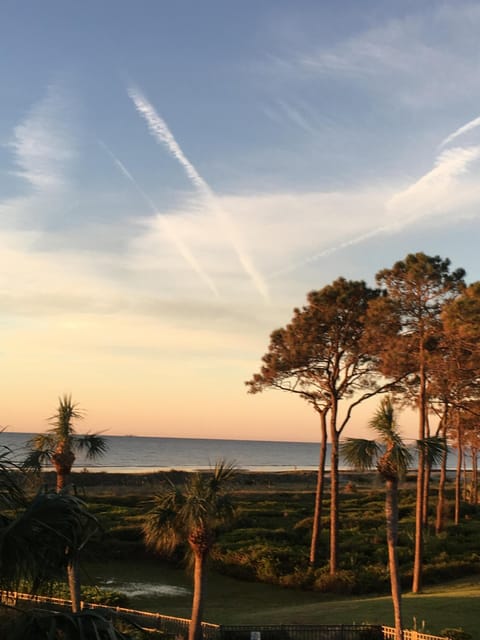 Stunning Beach View