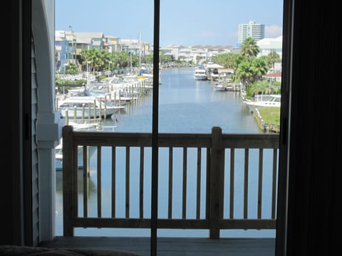 View from 2nd Bedroom