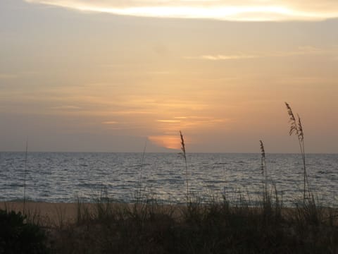 View of the Beach from the Condo Building.