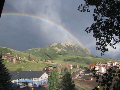 You never know what you will see from our balcony!