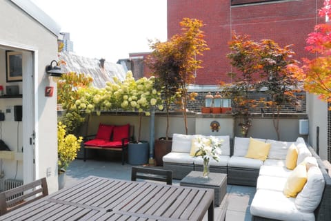 Private roof terrace accessible from within the condo