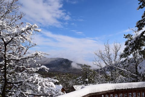 Winter view from deck after snow storm.