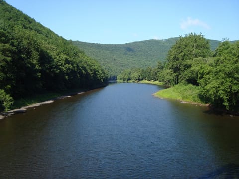 Beautiful Pine Creek.  Pic taken from the rail trail bridge next to the cabin