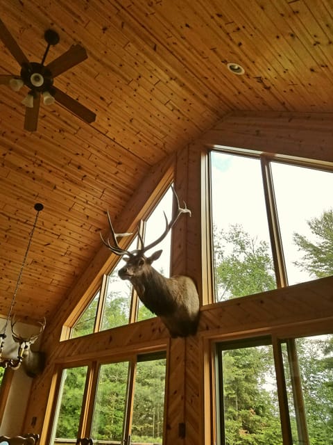 View from the living room