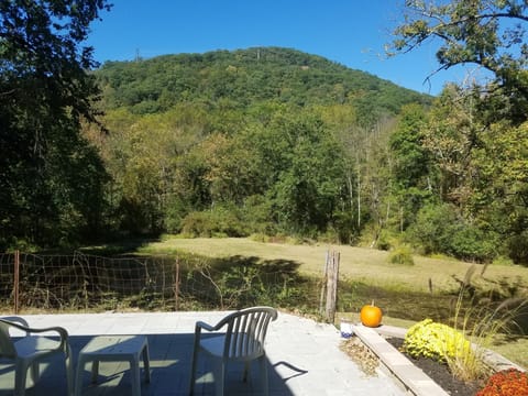 Spectacular estate and mountain views