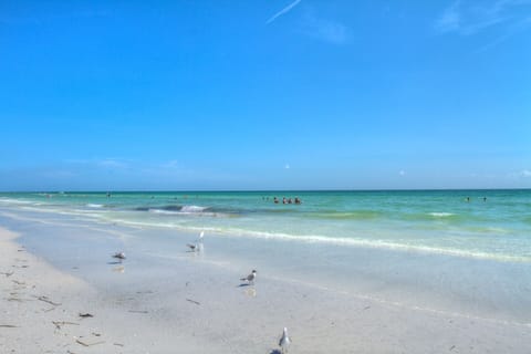 Beautiful Siesta Key beach