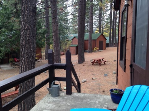 The cabin was part of the Penman Peak Lumber Company.  View from porch.