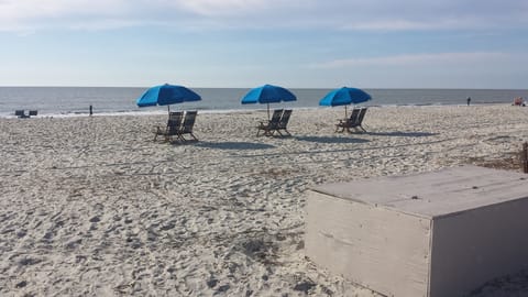 Wish you were here?