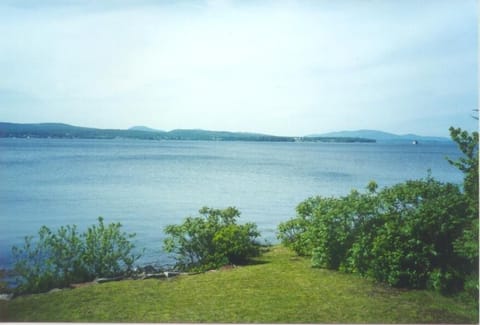 View from Porch