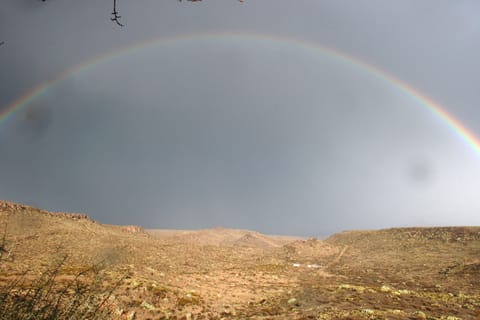 tarantula ranch "where rainbows wait for rain"