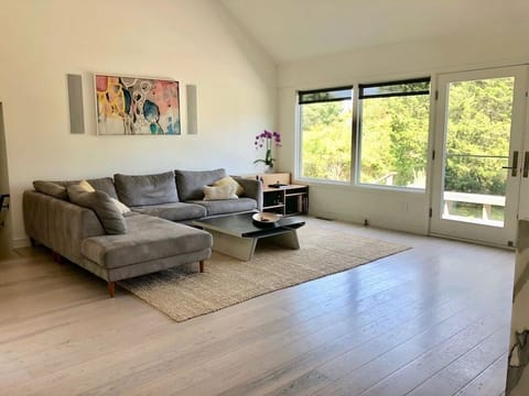 Sun streams in from the windows;  TV rises from walnut cabinet