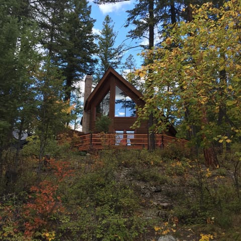 Entire private cabin in the woods. 