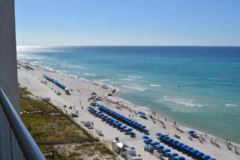 View from our terrace