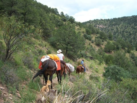 Taking a little ride into the wilderness.