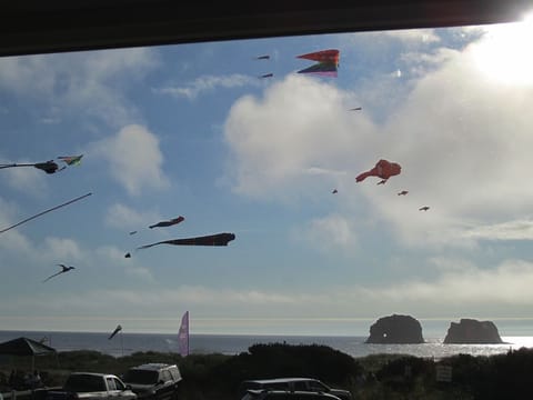 kite festival viewed from the front room