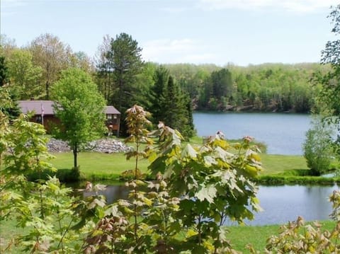 Summer in the Beautiful North!!