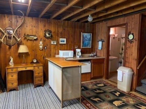 Downstairs kitchenette