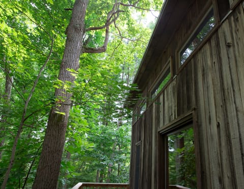 Disconnect with the busy world and reconnect with  family at Tall Oaks Cottage.