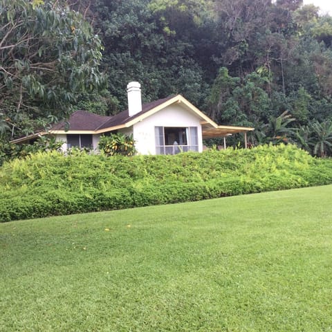 Punana Aloha faces the ocean on a half acre of lushly landcaped grounds