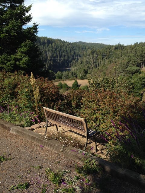 View of river and forest