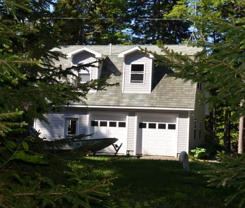 The apartment - we really are in the woods.