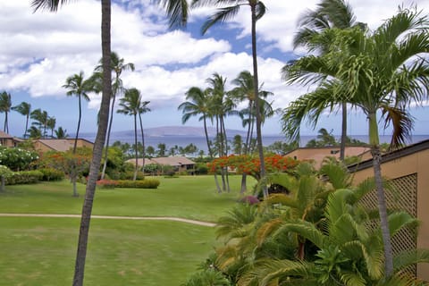 Expansive Ocean and Greenbelt view from our Lanai