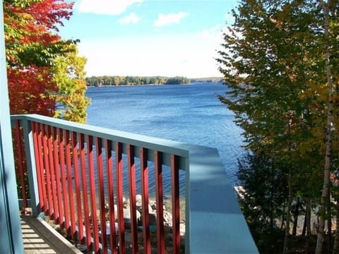 Catwalk View-Autumn
