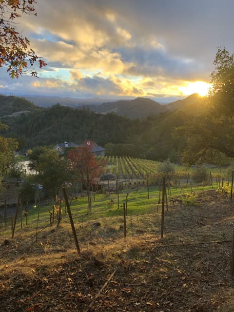 Sunset from top of vineyard facing Knighton Family Vineyards across the road