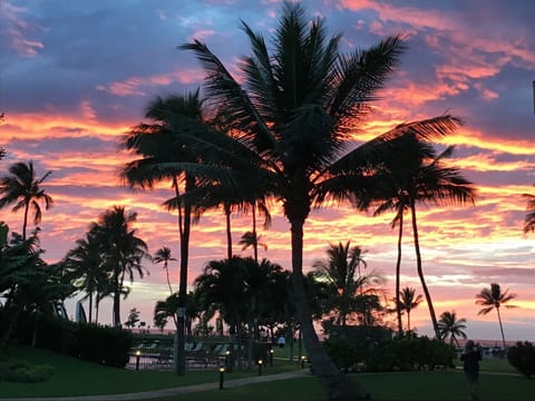 Maui Sunset from our grounds