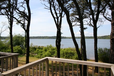 Relax on the back deck and take in the views of the pond.
