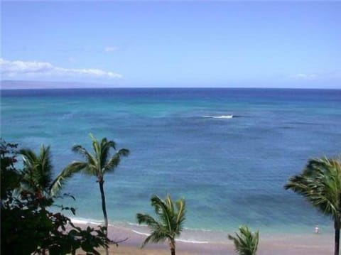 View from Lanai (porch)