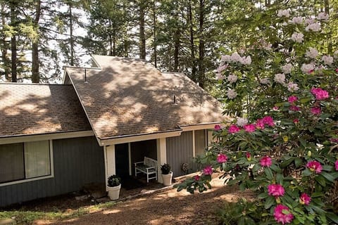 Nestled in the Woods