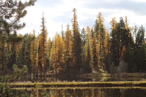 Front view of cabin from pond. 
